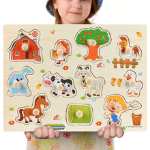 Load image into Gallery viewer, Wooden Puzzles Hand Grab Boards
